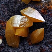 Wulfenite