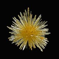 Aragonite