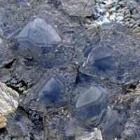 Blue Quartz