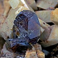 Titanite & Orthoclase