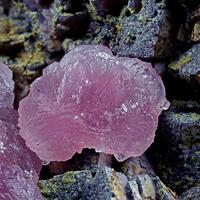 Talmessite