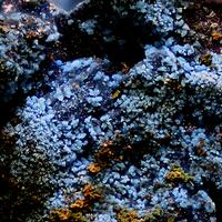 Spertiniite On Native Copper