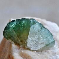 Carbonate-rich Fluorapatite