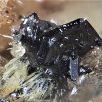 Hetaerolite Hodgkinsonite & Zincite