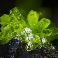 Emmonsite