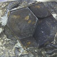 Hauerite