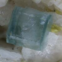 Apatite