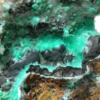 Aurichalcite Hemimorphite Rosasite & Nsutite