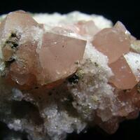 Rose Quartz