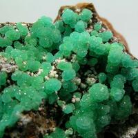 Cuprian Adamite