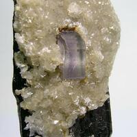 Apatite & Wolframite