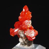 Cairoli Fine Minerals: 03 Jun - 09 Jun 2024