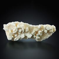 Picromerite On Halite