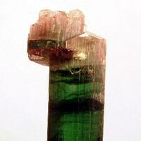 Elbaite