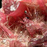 Elbaite Var Rubellite