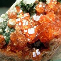 Grossular & Clinochlore