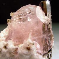 Morganite & Elbaite