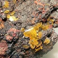 Wulfenite