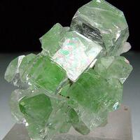 Apophyllite