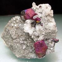 Galena & Chalcopyrite