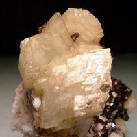 Siderite & Muscovite