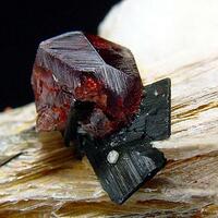 Spessartine Tantalite & Muscovite