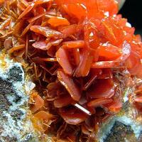 Wulfenite