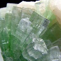 Apophyllite