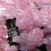 Cobaltoan Calcite