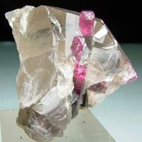 Liddicoatite & Quartz