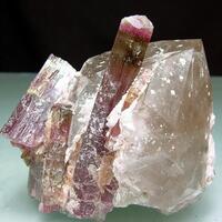 Liddicoatite & Quartz