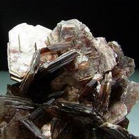 Muscovite