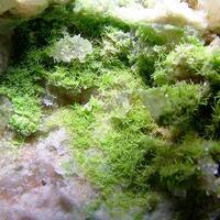 Pyromorphite