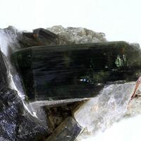 Muscovite