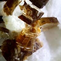 Phlogopite