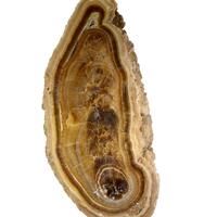 Baryte Var Oakstone