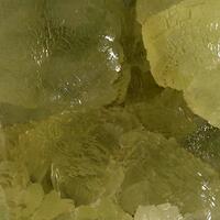 Prehnite