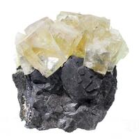 Fluorite On Galena