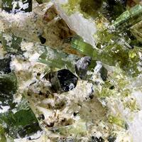 Tourmaline & Cleavelandite