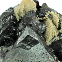 Tetrahedrite With Siderite