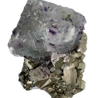 Fluorite & Pyrite