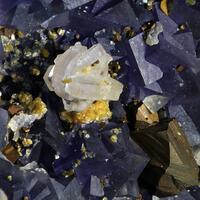 Fluorapatite Chalcopyrite & Gilbertite On Fluorite