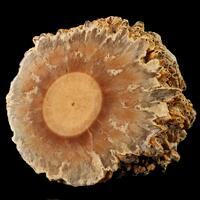 Baryte