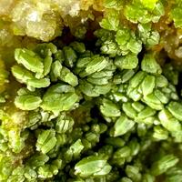 Pyromorphite