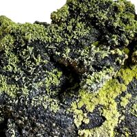 Pyromorphite