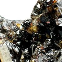 Cassiterite Var Sparable Tin