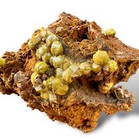 Campylite