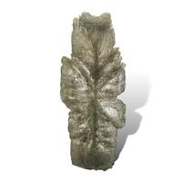 Gypsum Var Selenite