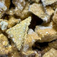 Fluellite