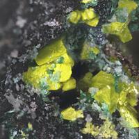 Marthozite